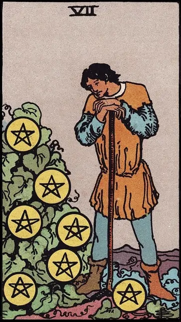 Seven of Pentacles